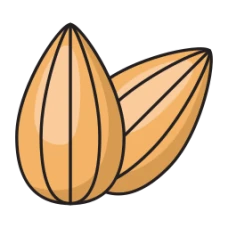 Nuts