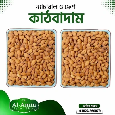 কাঠবাদাম secondary