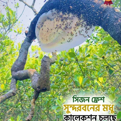 সুন্দরবনের মিশ্র ফুলের মধু