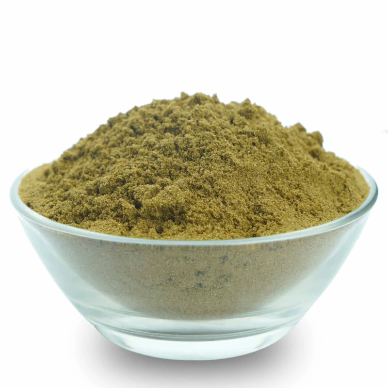 ধনিয়া গুঁড়া DG